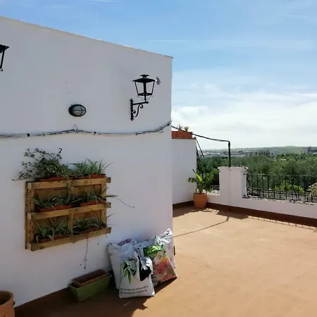 Resting In A Typical District Near Everything *