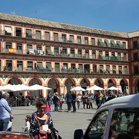 Resting In A Typical District Near Everything *